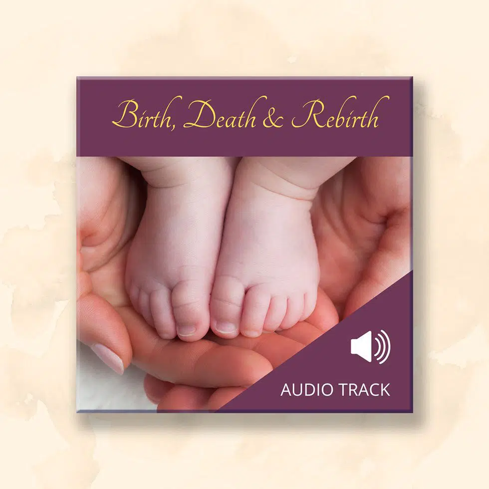 Birth Death And Rebirth Birth/Rebirth – Vinegar Syndrome